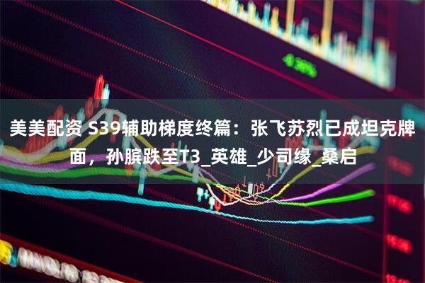 美美配资 S39辅助梯度终篇：张飞苏烈已成坦克牌面，孙膑跌至T3_英雄_少司缘_桑启