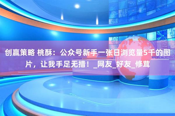 创赢策略 桃酥：公众号新手一张日浏览量5千的图片，让我手足无措！_网友_好友_修茸